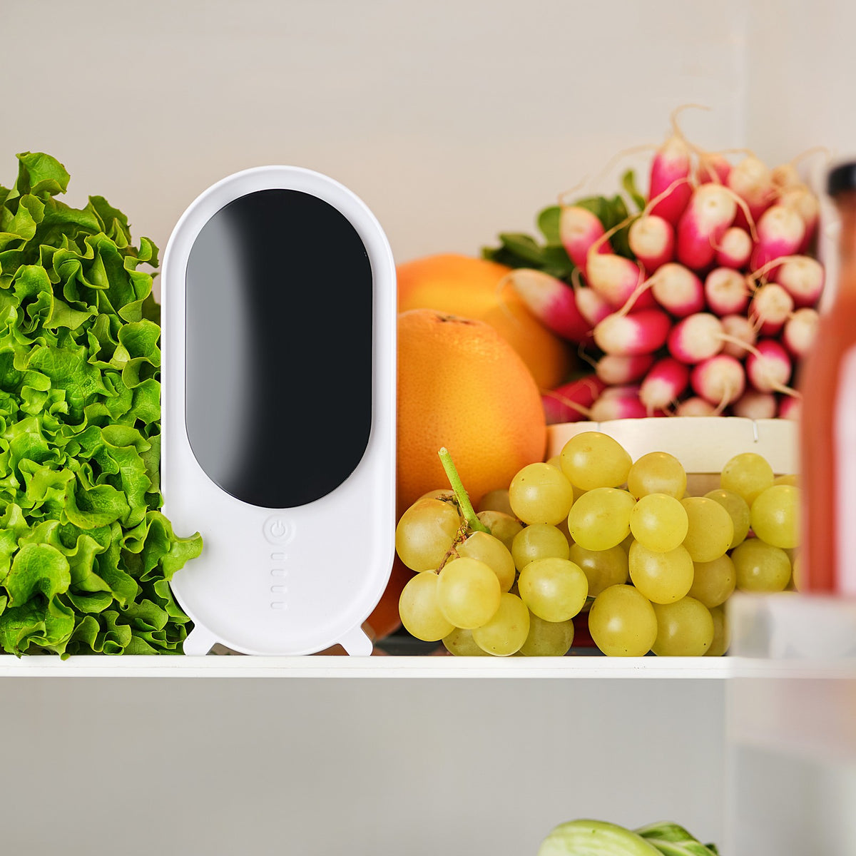 Holus installé au milieu des fruits et légumes dans un réfrigérateur