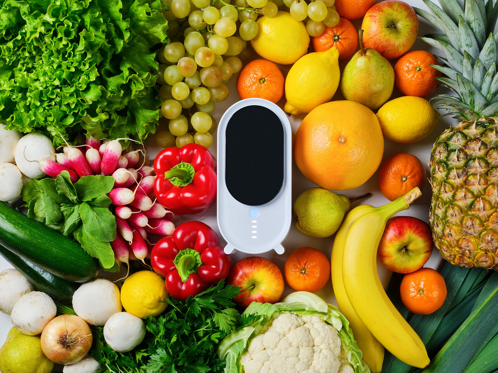 Holus posé au milieu de fruits et légumes frais