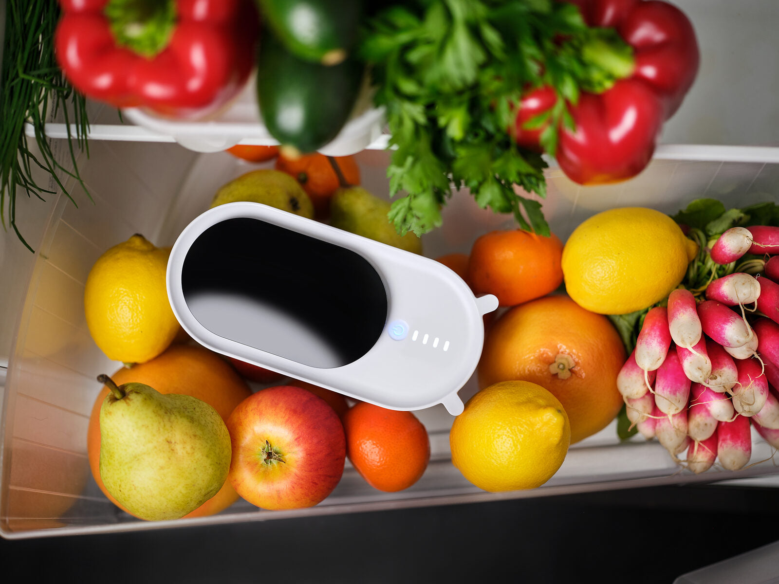 Holus posé parmi des fruits et légumes dans un tiroir de réfrigérateur