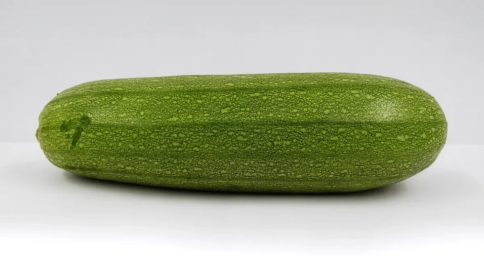 Courgette après 21 jours avec Holus