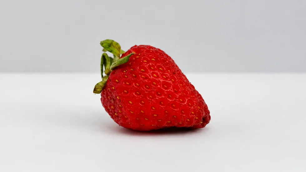 Fraise après 12 jours avec Holus